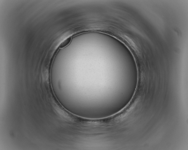 X0000112051465200908111339