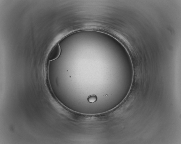 X0000112051467200908111339