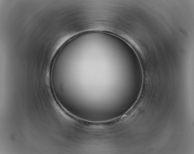 X0000112051468200908111339