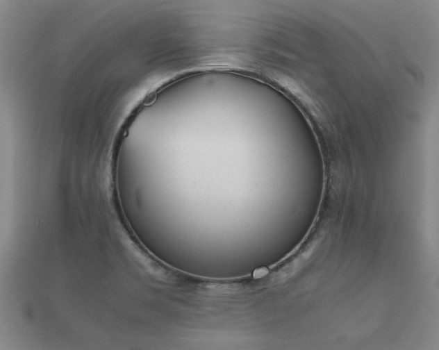 X0000112051469200908111339