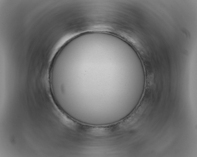 X0000112051470200908111339