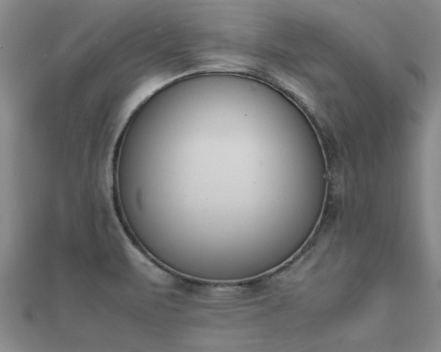 X0000112051471200908111339