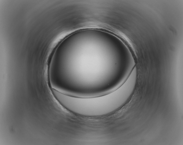 X0000112051472200908111339