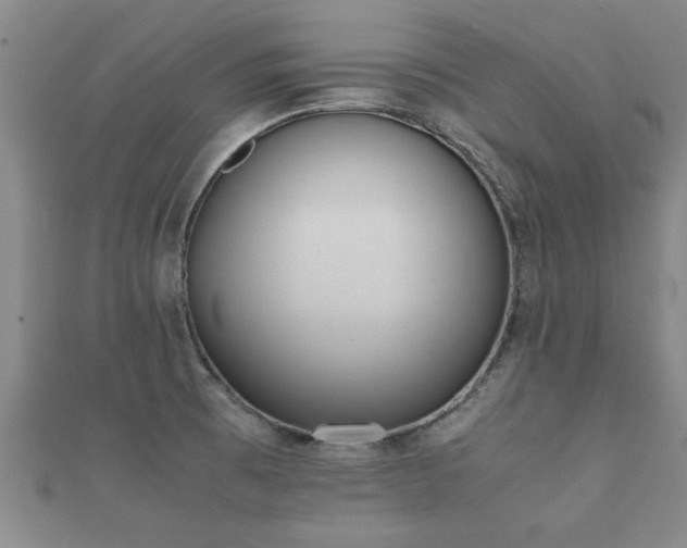 X0000112051473200908111339