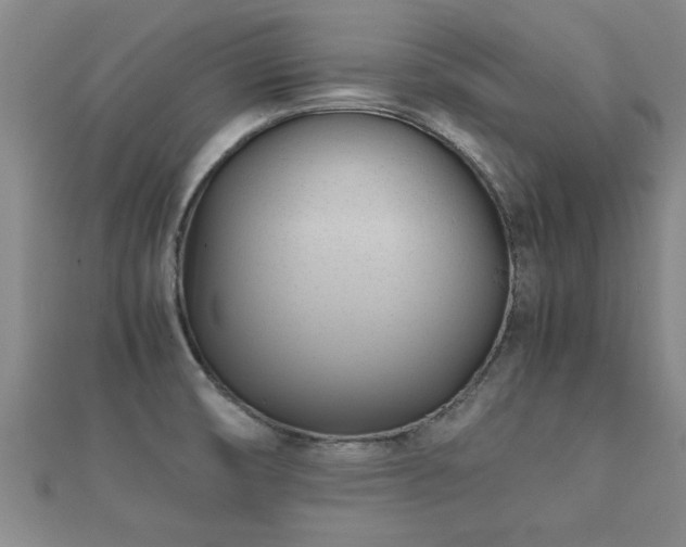 X0000112051474200908111339