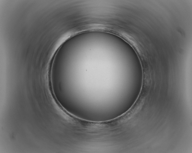 X0000112051475200908111339