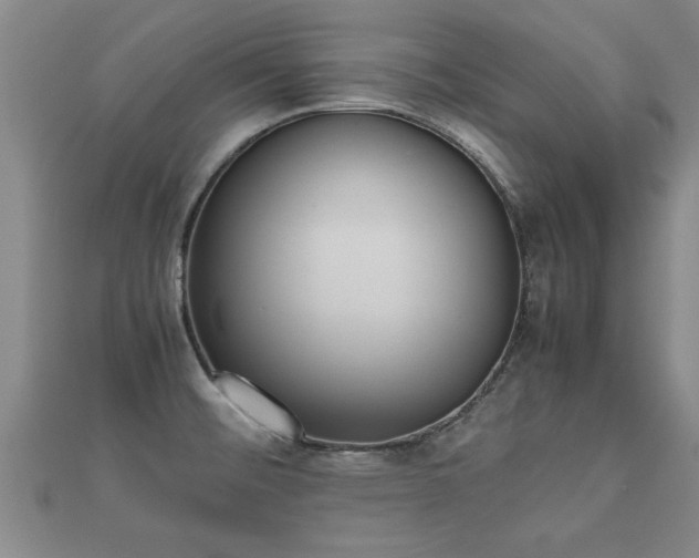 X0000112051476200908111339