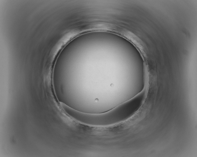 X0000112051477200908111339