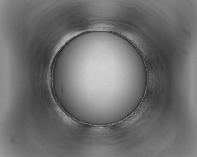 X0000112051478200908111339