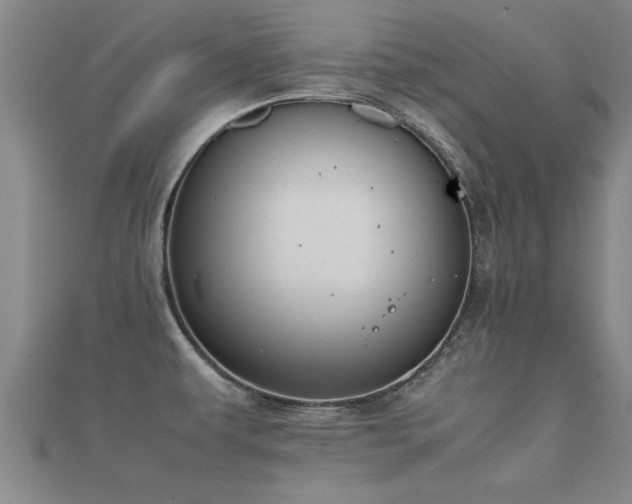 X0000112051479200908111339