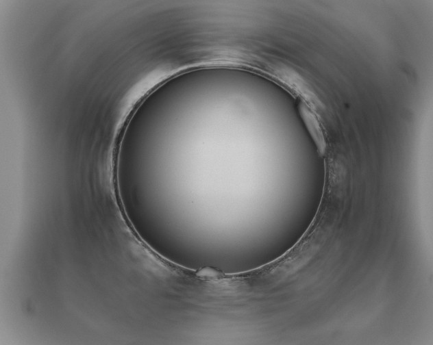 X0000112051480200908111339