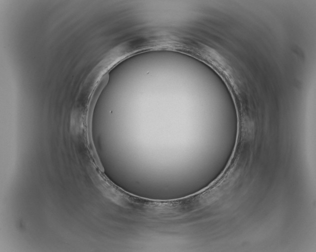 X0000112051481200908111339