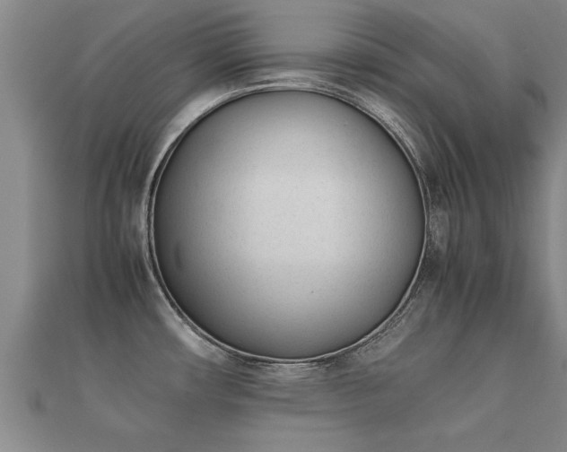 X0000112051482200908111339