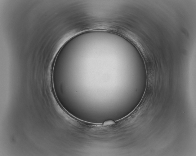 X0000112051483200908111339