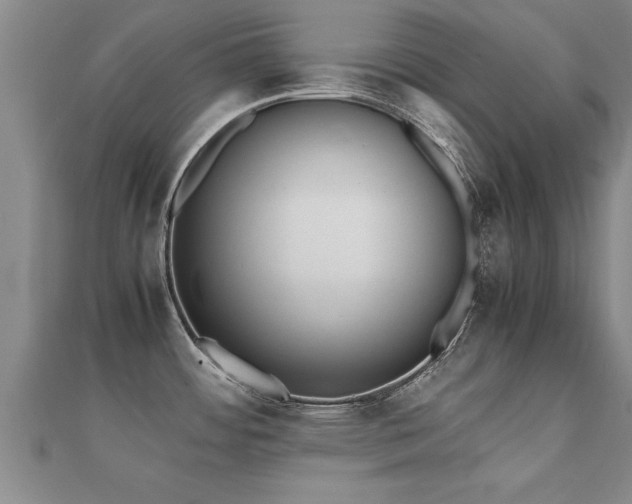 X0000112051484200908111339