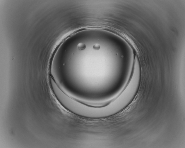 X0000112051485200908111339