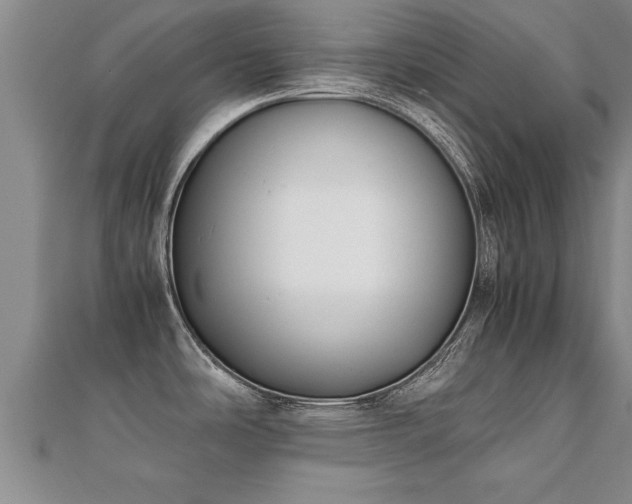 X0000112051486200908111339