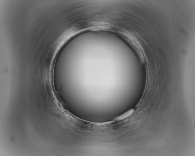 X0000112051488200908111339