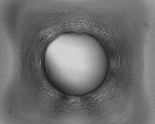 X0000112051489200908111338