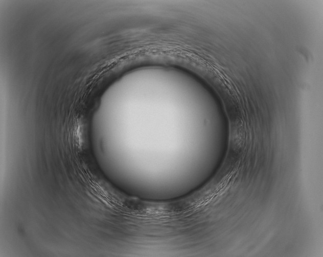 X0000112051490200908111338