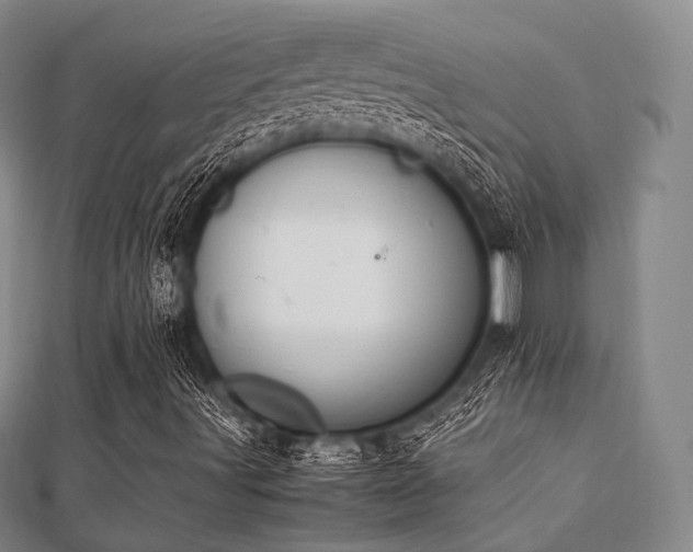 X0000112051491200908111338