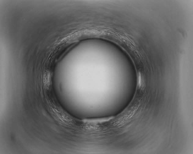 X0000112051492200908111338