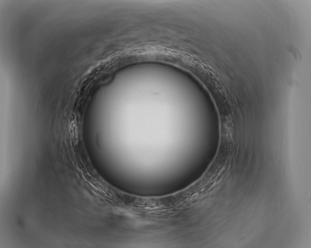 X0000112051493200908111338