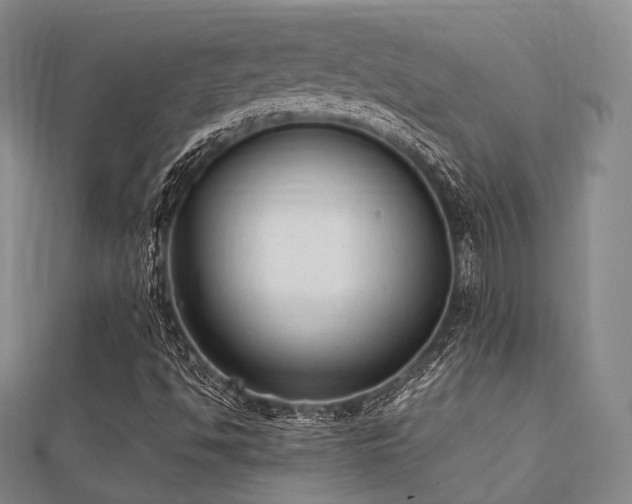 X0000112051494200908111338