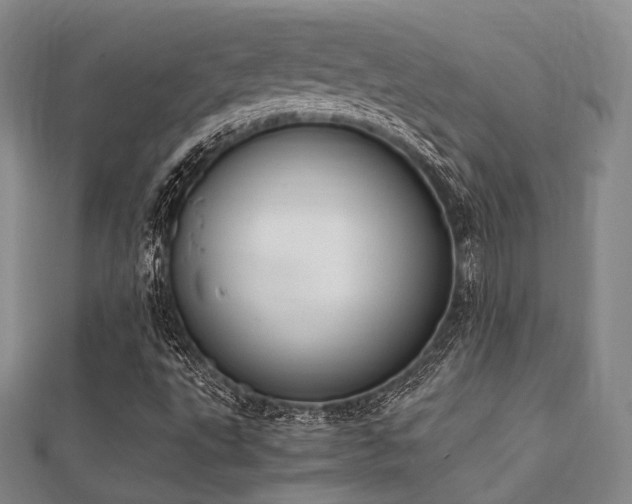 X0000112051495200908111338