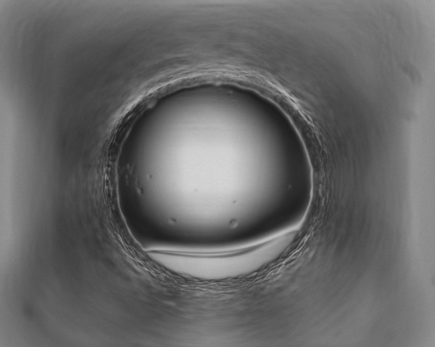 X0000112051496200908111338