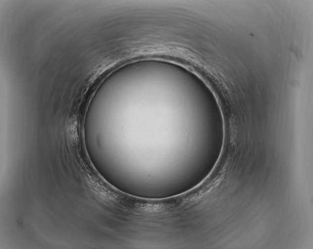 X0000112051497200908111338