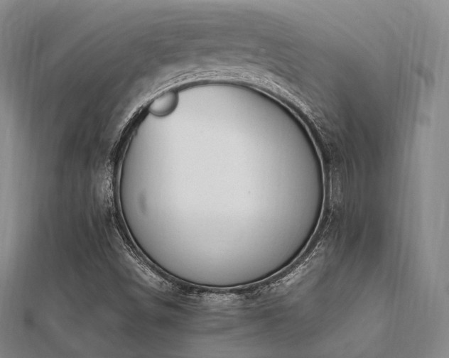 X0000112051498200908111338