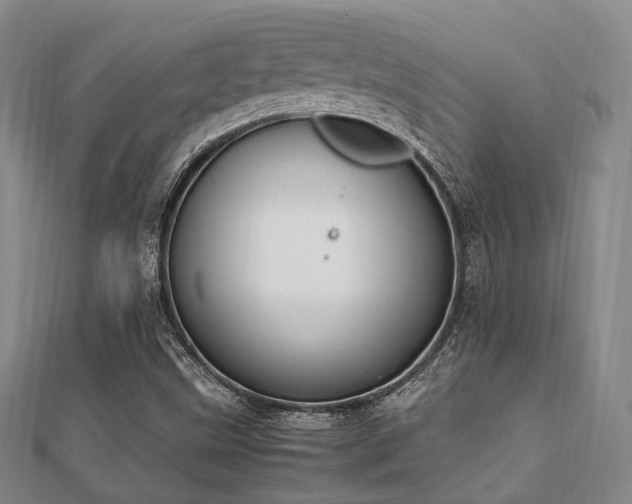 X0000112051499200908111338