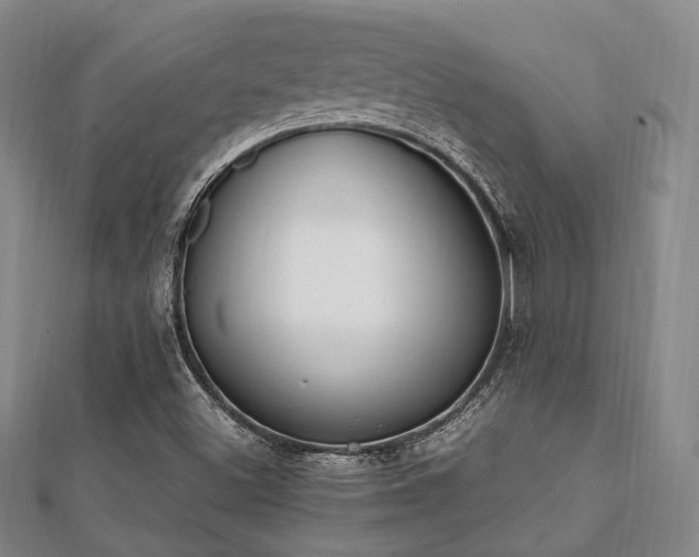 X0000112051500200908111338