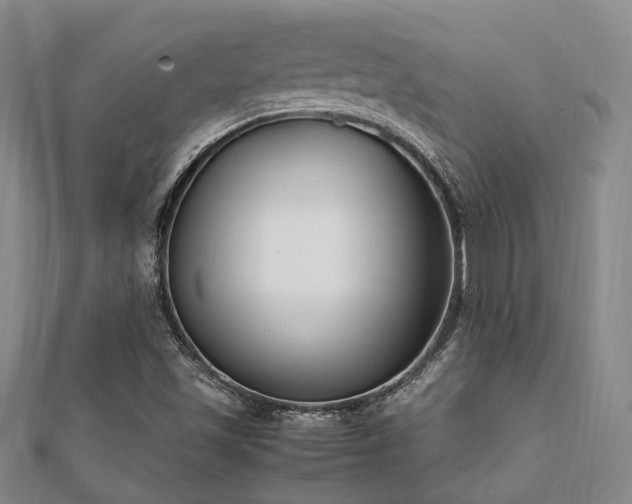 X0000112051501200908111338