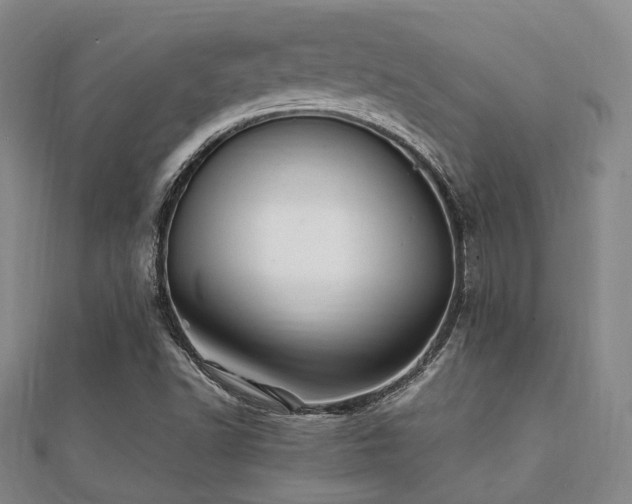 X0000112051502200908111338