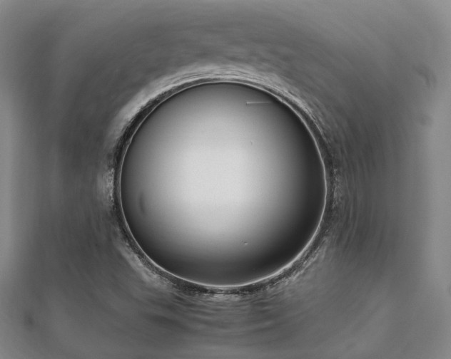 X0000112051503200908111338