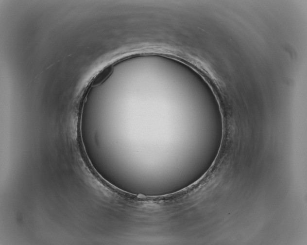 X0000112051504200908111338