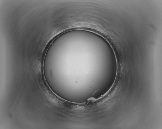 X0000112051505200908111338