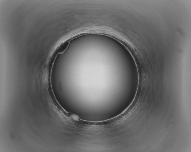 X0000112051506200908111338