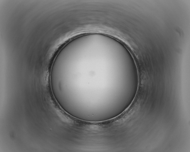 X0000112051507200908111338