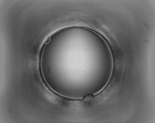 X0000112051508200908111338