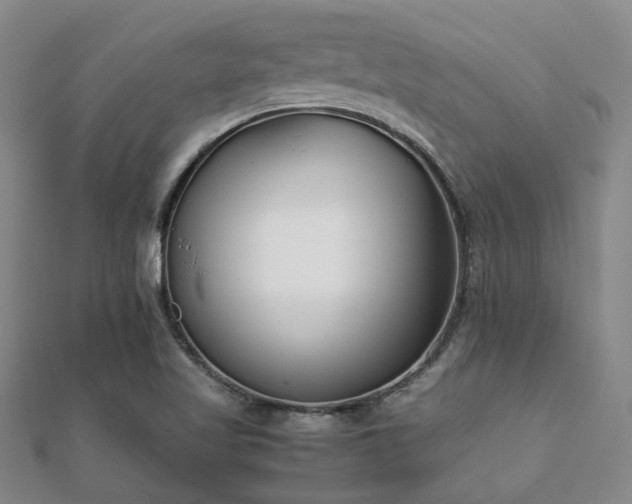 X0000112051509200908111338