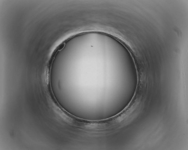 X0000112051510200908111338