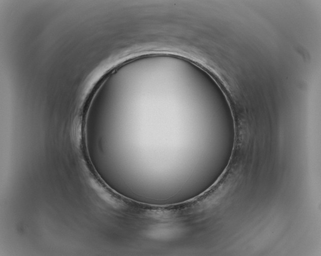 X0000112051511200908111338