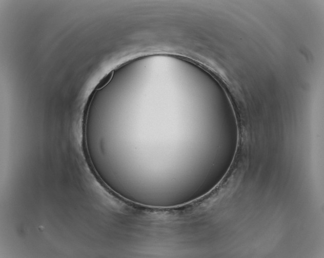 X0000112051512200908111338