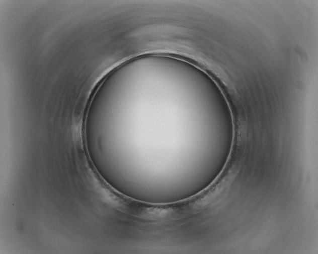 X0000112051513200908111338