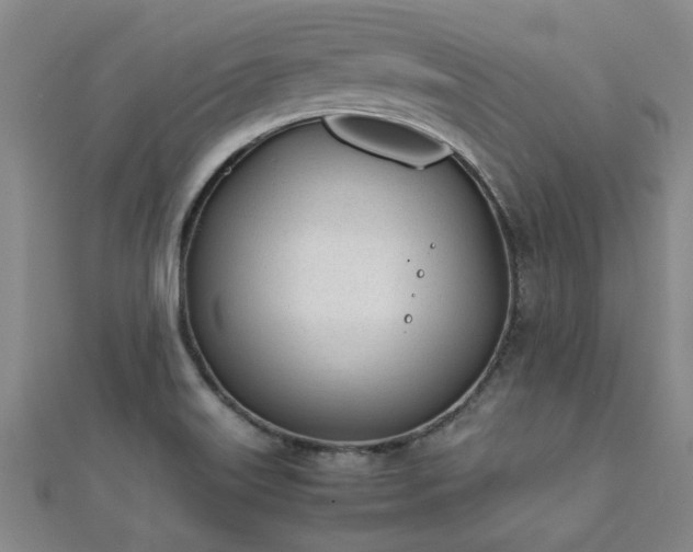 X0000112051515200908111339