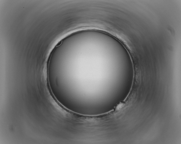 X0000112051516200908111339