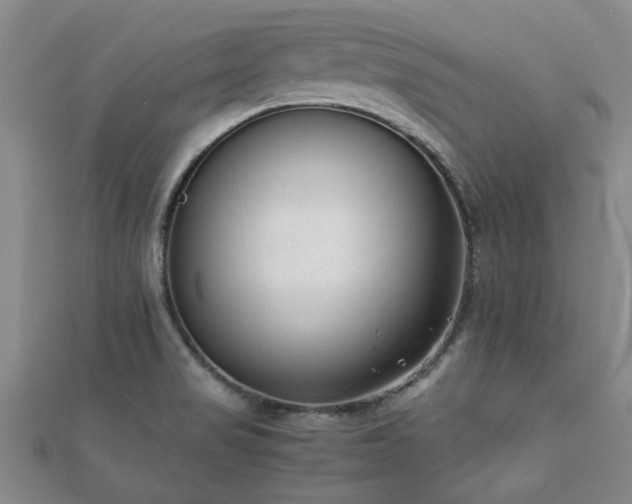 X0000112051517200908111339